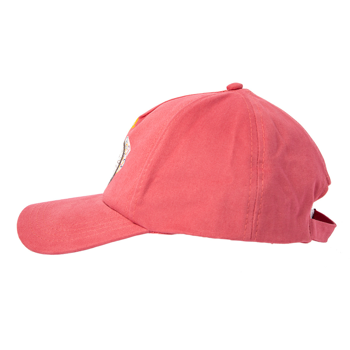 Biggdesign Nature Pembe Şapka