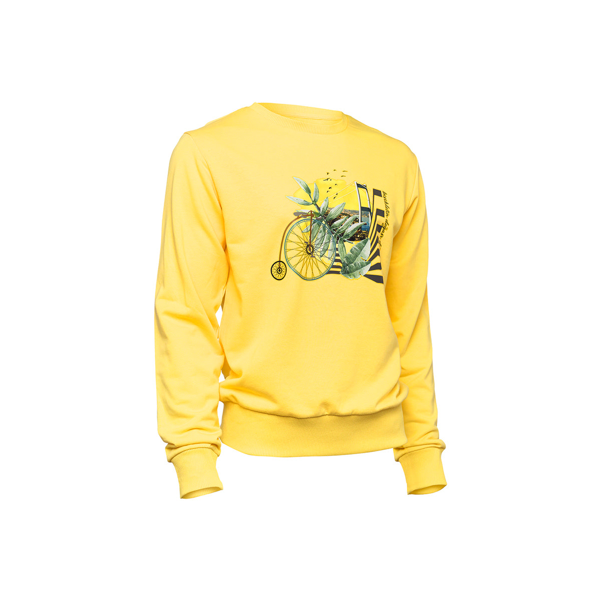 Biggdesign Nature Boğazda Bisiklet Erkek Sweatshirt