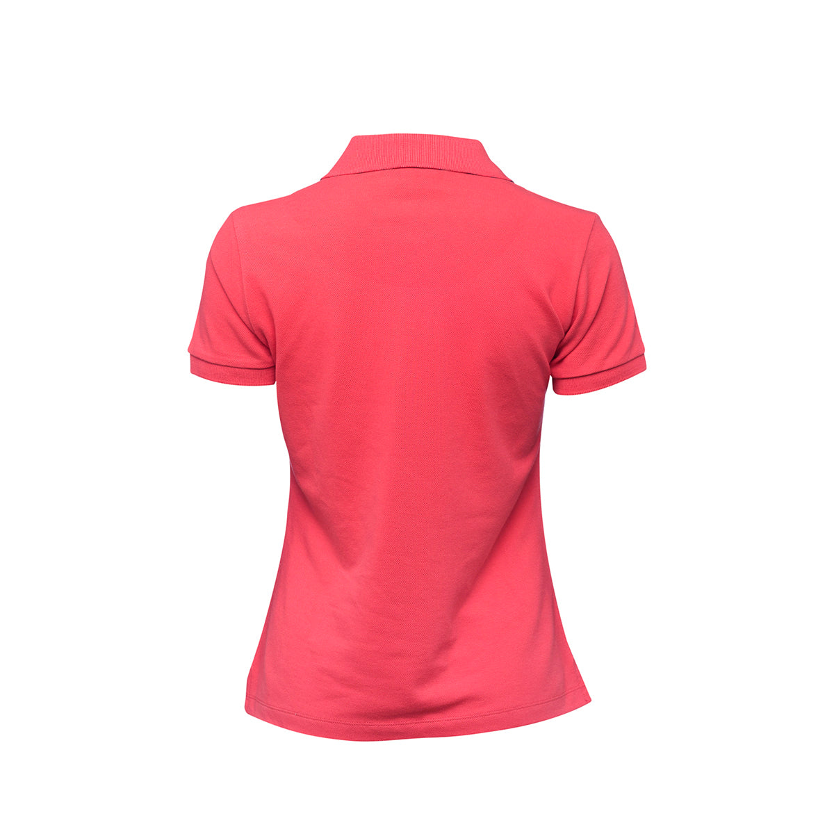 Anemoss Gemici Martı Kadın Polo Yaka T-Shirt