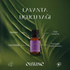 Oilwise Sakinleştirici ve Ferahlatıcı Lavanta Uçucu Yağı 10 ml