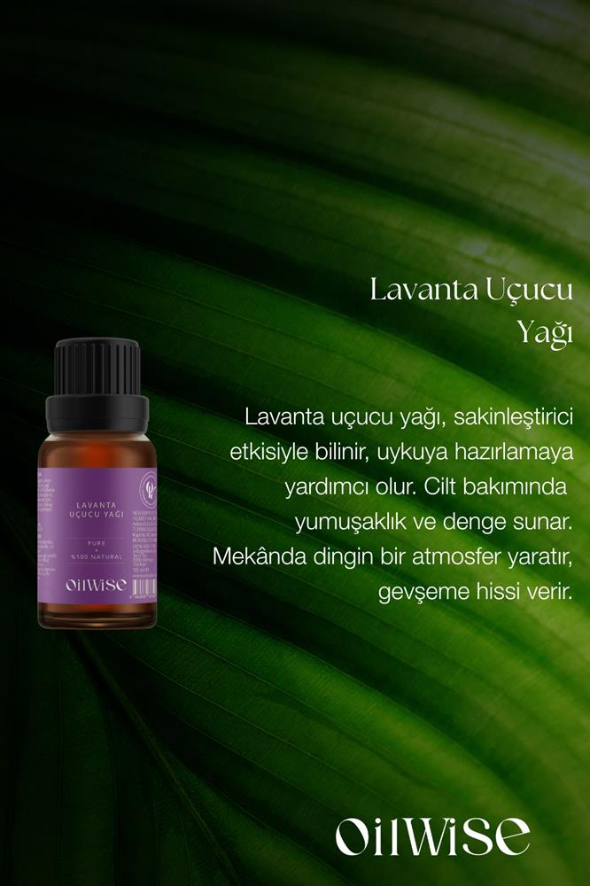 Oilwise Sakinleştirici ve Ferahlatıcı Lavanta Uçucu Yağı 10 ml