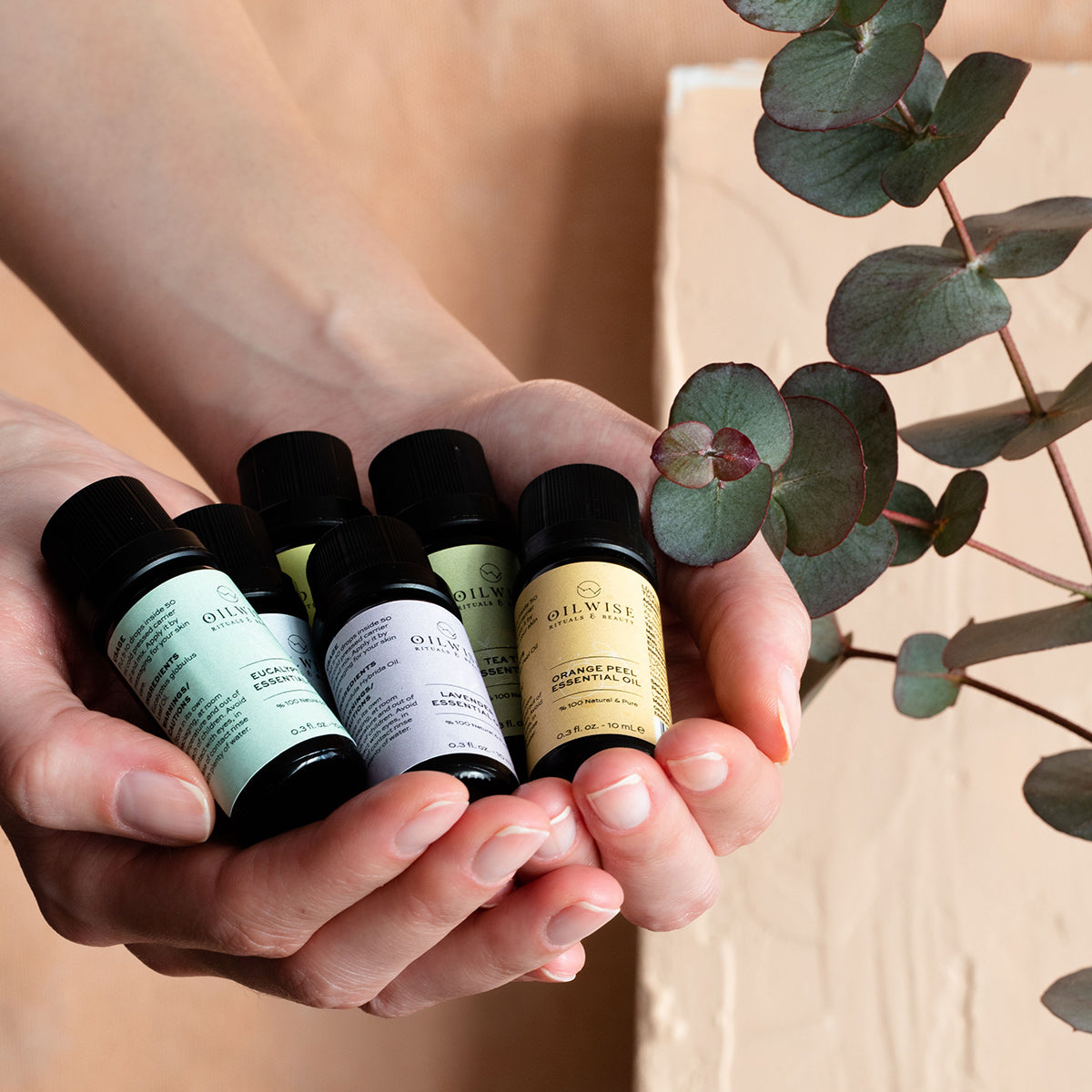 Oilwise Eucalyptus Essential Oil 10 ml