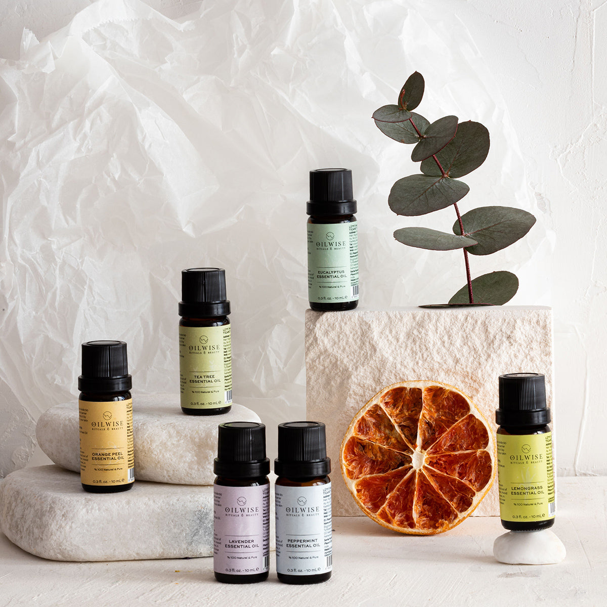 Oilwise Eucalyptus Essential Oil 10 ml