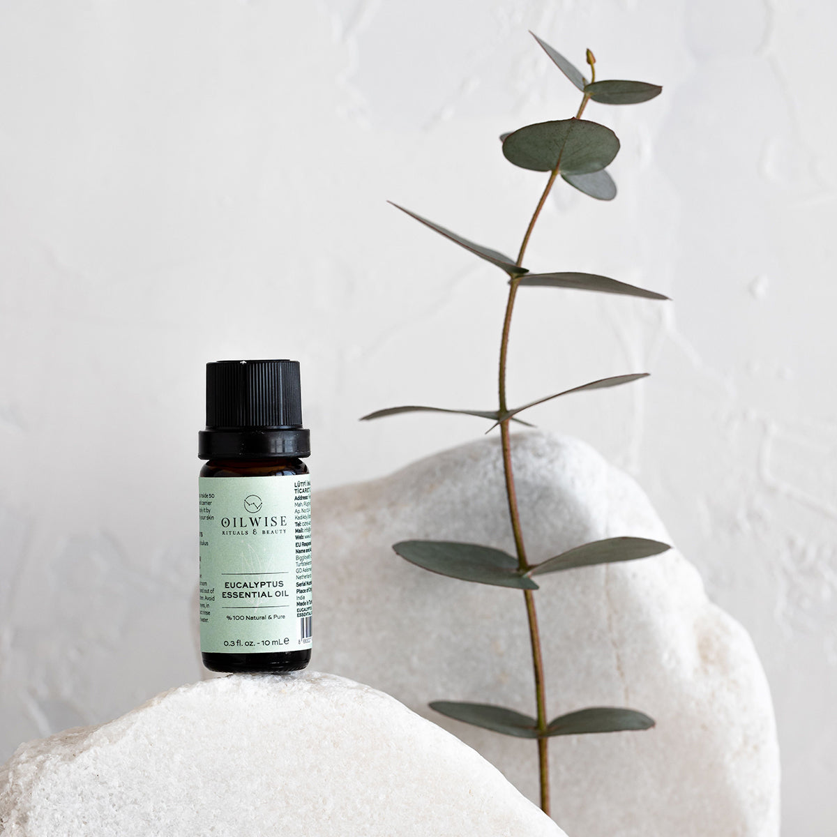 Oilwise Eucalyptus Essential Oil 10 ml