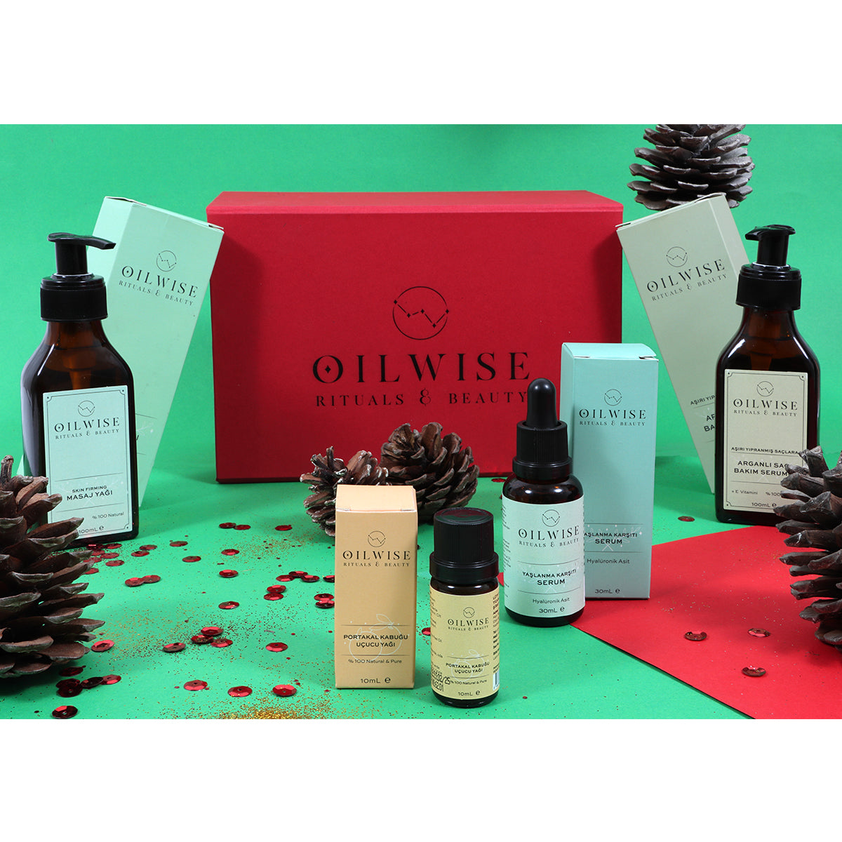 Oilwise Sıkılaştırıcı Bakım Seti